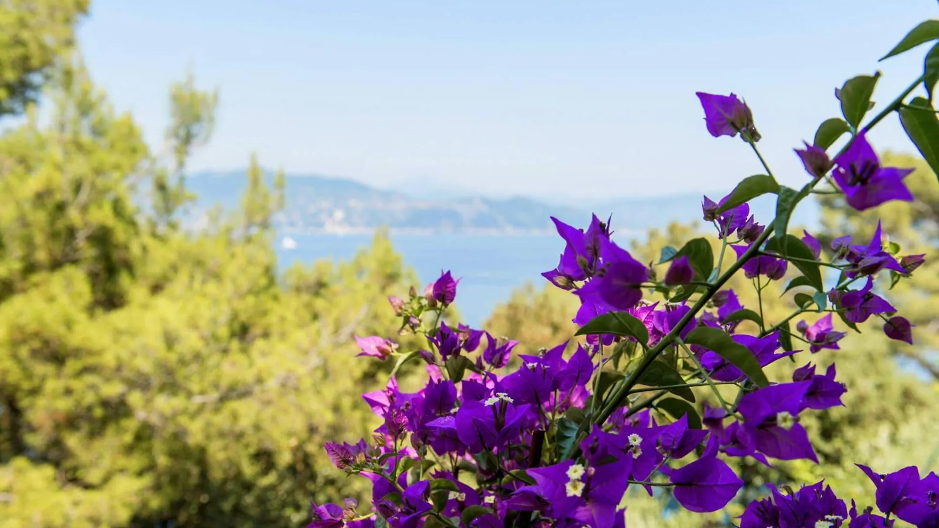 Villa Peninsula Portofino